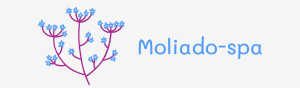 moliado-spa.co.il/blog/